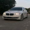 majed.alalous
