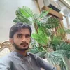 walimuhammadmangrio