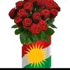 kurdo12235