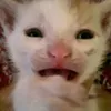 notnicolekinned