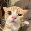 aminxtj1997