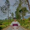 arshen2000