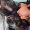 negritacoyotevibes