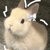 beep_tia