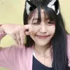 cista03