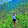 hau_862