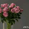 user8m9dr7xgo6