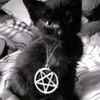 buddy.666_