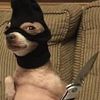 mario_el_jeffe