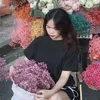 ic_thhor