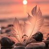 🕊