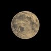 moondanestory