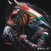 ramigaza