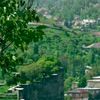 kutup_35