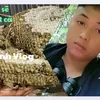 taiminhvlog
