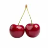 cherry_y_y_
