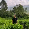 kinton_sh