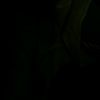 ryan._786