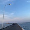 ila_4884