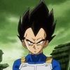 mrvegeta100