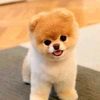 username2468743fdzd4