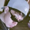 mateococoa7