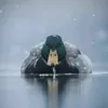 waterfowlswatter