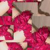 areehaumer333