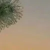 47887766a