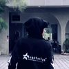 gamaxv2