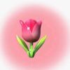 zaki_na852