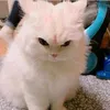 aneczka_04