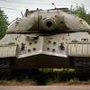 gaijinisholy