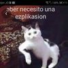 userkhrnefohhg