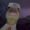 lazy0rat2