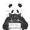 young_panda_