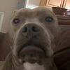 ms.daisy