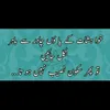 muhammadmudasir0915