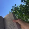 bubbles_and_books