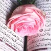 hodaalmashhdani