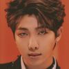 namjoonsbicycleseat_