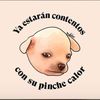 prouddogmom2