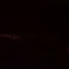 off_black86