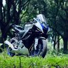 bot_tanvir919