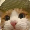 cuucaptain16