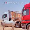 anas..alhenawi
