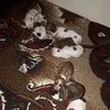 tnase.tincuta