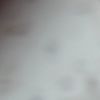 7mny.l