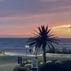 z_ly28112