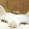 honeybunsuckle